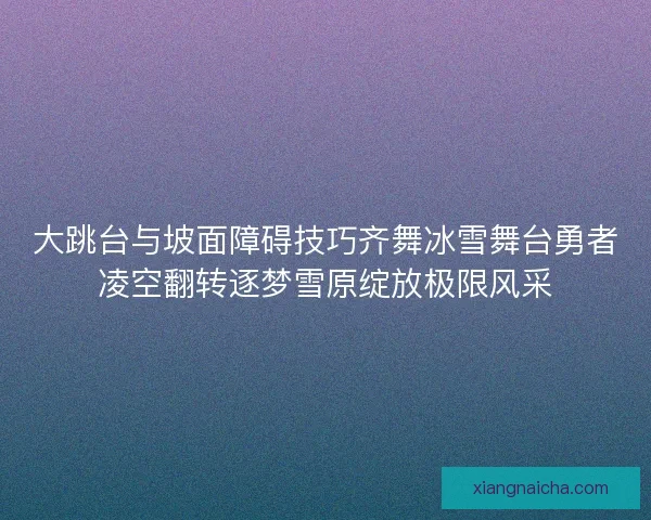 大跳台与坡面障碍技巧齐舞冰雪舞台勇者凌空翻转逐梦雪原绽放极限风采