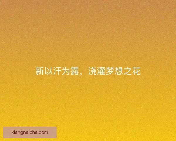 新以汗为露，浇灌梦想之花