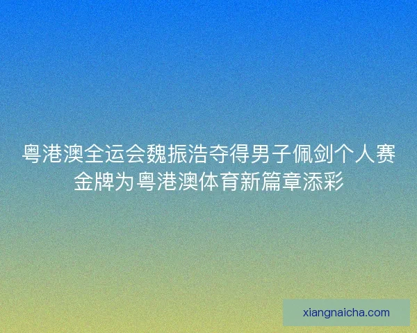 粤港澳全运会魏振浩夺得男子佩剑个人赛金牌为粤港澳体育新篇章添彩 粤港澳全运会魏振浩夺得男子佩剑个人赛金牌为粤港澳体育新篇章添彩
